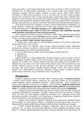 Romėniškasis Heleninės civilizacijos  laikotarpis 7 puslapis