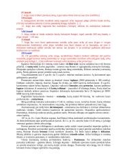 Romėniškasis Heleninės civilizacijos  laikotarpis 9 puslapis