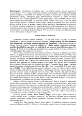 Senovės civilizacijų istorija 20 puslapis