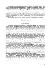 Senovės civilizacijų istorija 5 puslapis