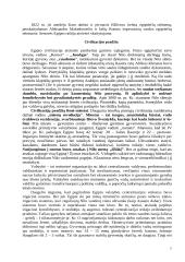 Senovės civilizacijų istorija 6 puslapis