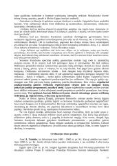 Senovės civilizacijų istorija 10 puslapis