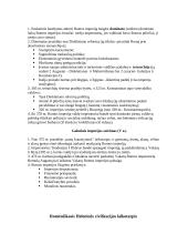 Senovės istorijos konspektas 3 puslapis