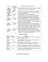 Senovės istorijos konspektas 6 puslapis