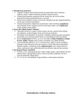 Senovės istorijos konspektas 8 puslapis