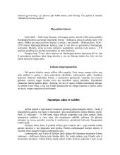 Šiaurės Europos gamta 3 puslapis