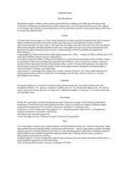 Šiaurės Europos šalys 2 puslapis