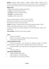 Taikomieji tyrimai 2 puslapis