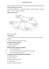 Taikomieji tyrimai 8 puslapis