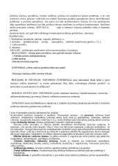 Teisėsaugos organizavimo pagrindai 11 puslapis