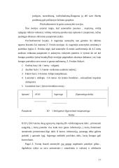 Ugdymo psichologija 17 puslapis