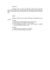Ukmergės urboekologinė situacija 4 puslapis