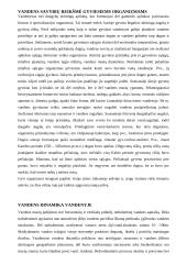 Vandenynų geografija - ledas, druskingumas, deguonis, vandens masė 5 puslapis