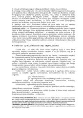 Verslo ir turizmo teisė 3 puslapis