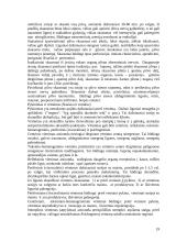 Vidaus ligų propedeutika ir vidaus ligų pagrindai 19 puslapis