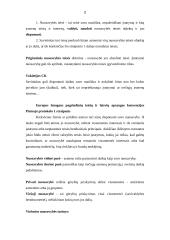 Viešosios nuosavybės teisės įgyvendinimas 2 puslapis