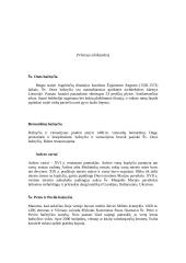 Vilnius, Vilniaus objektai 3 puslapis