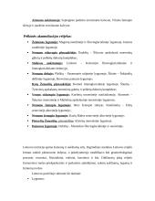 Lietuvos geomorfologinio žemėlapio analizė (uždaviniai su sprendimais) 11 puslapis