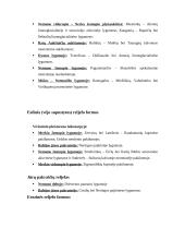 Lietuvos geomorfologinio žemėlapio analizė (uždaviniai su sprendimais) 10 puslapis