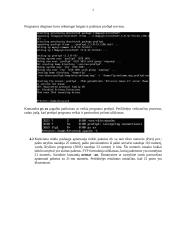 ProFTP  paslaugos administravimas Linux operacinėje sistemoje 3 puslapis