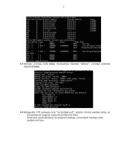 ProFTP  paslaugos administravimas Linux operacinėje sistemoje 4 puslapis