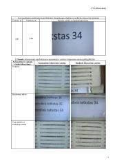 Vaizdo kamerų tyrimas 5 puslapis