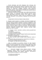 Akcinių bendrovių kūrimas 3 puslapis