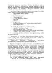 Akcinių bendrovių kūrimas 6 puslapis