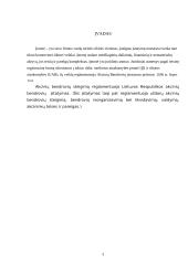 Akcinių bendrovių kūrimas Lietuvoje 2 puslapis