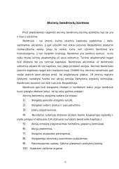 Akcinių bendrovių kūrimas Lietuvoje 3 puslapis
