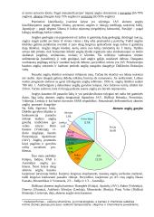 Akmens anglis 2 puslapis