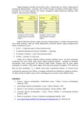 Akmens anglis 3 puslapis