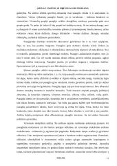 Amžiaus tarpsnių ir individualumo problema 11 puslapis