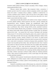 Amžiaus tarpsnių ir individualumo problema 12 puslapis