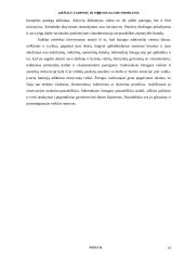 Amžiaus tarpsnių ir individualumo problema 13 puslapis