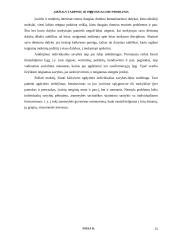 Amžiaus tarpsnių ir individualumo problema 15 puslapis
