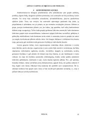 Amžiaus tarpsnių ir individualumo problema 16 puslapis
