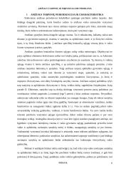 Amžiaus tarpsnių ir individualumo problema 6 puslapis