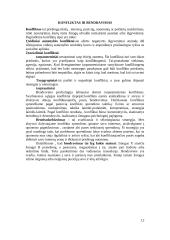 Svarbiausios psichologijos žinios apie bendravimą 12 puslapis