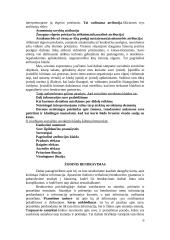 Svarbiausios psichologijos žinios apie bendravimą 6 puslapis
