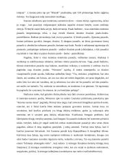 Budizmo atsiradimas ir problema 4 puslapis