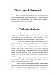 Budizmas įvairiose šalyse 3 puslapis