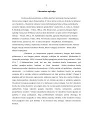 Charakterio akcentuacijų tyrimas ir tyrimo rezultatai 3 puslapis