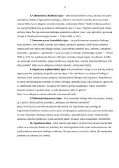 Charakterio akcentuacijų tyrimas ir tyrimo rezultatai 6 puslapis