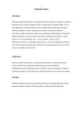 Ekskursija į restoraną: "Verslo klasė" 7 puslapis