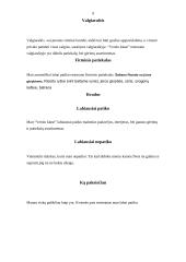 Ekskursija į restoraną: "Verslo klasė" 9 puslapis