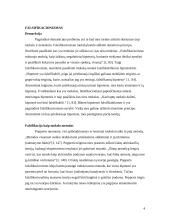 Falsifikacionizmo samprata 4 puslapis