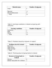 Geography investigation of migration between Lithuania and Ireland 17 puslapis