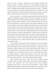 Karjeros projektavimas kaip visą gyvenimą trunkantis procesas 3 puslapis