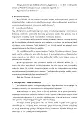 Karjeros projektavimas kaip visą gyvenimą trunkantis procesas 6 puslapis